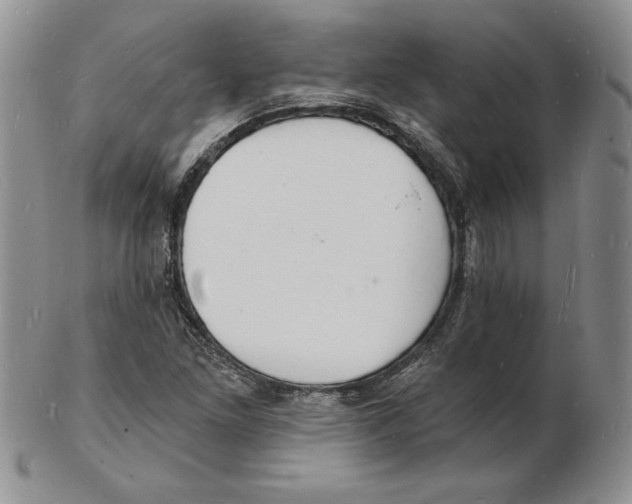 X0000102221261200808221238