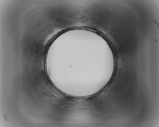 X0000102221262200808221238