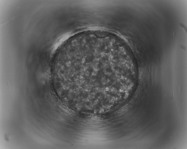 X0000102221263200808221238