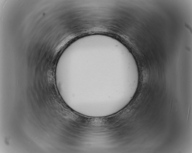 X0000102221266200808221237