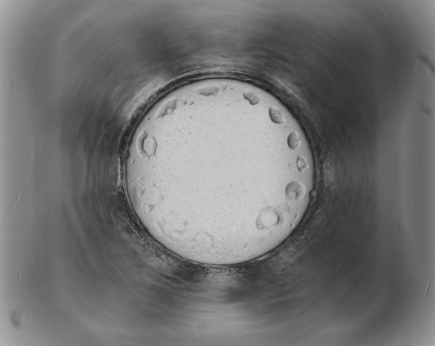 X0000102221267200808221237