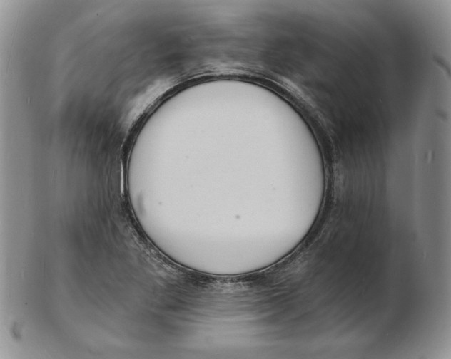 X0000102221269200808221237