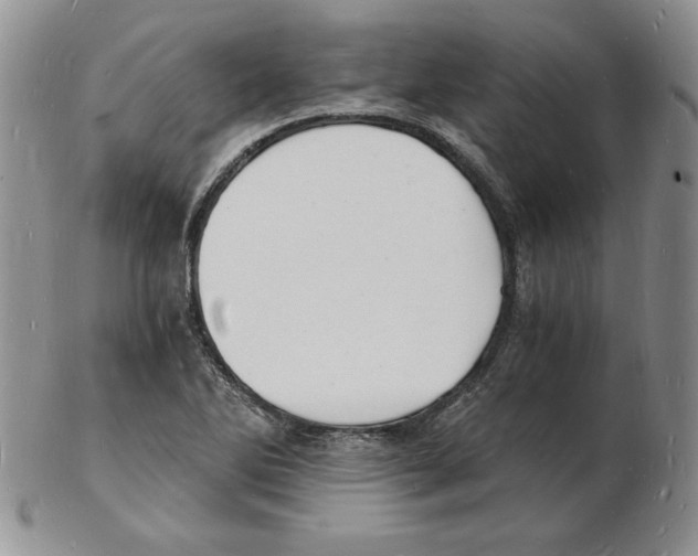 X0000102221270200808221237