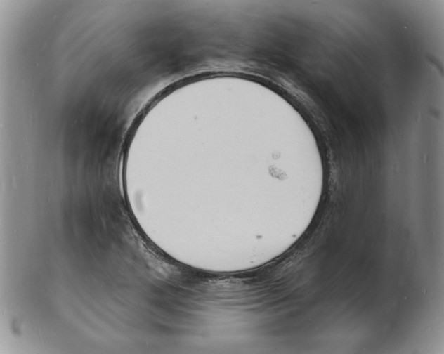 X0000102221272200808221237