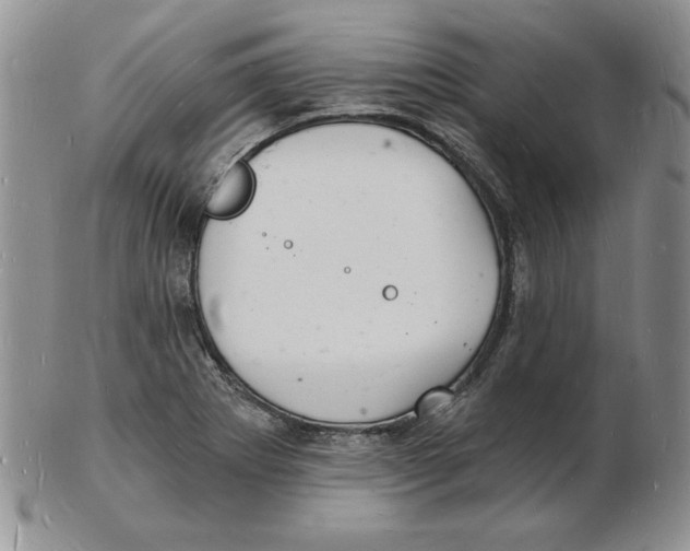 X0000102221273200808221237