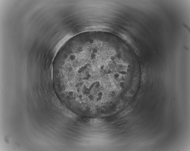 X0000102221275200808221237