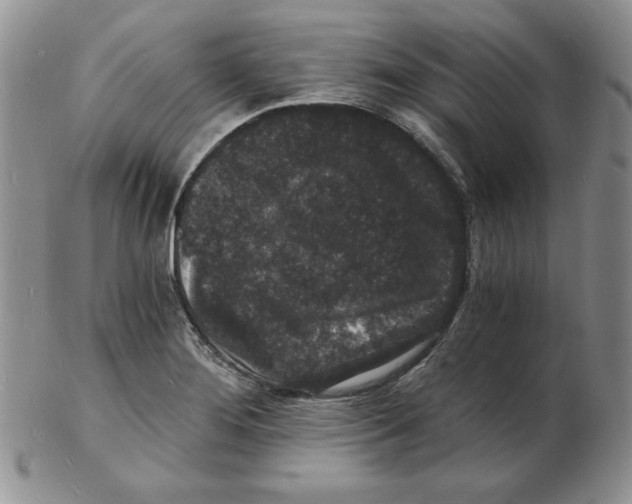 X0000102221276200808221237