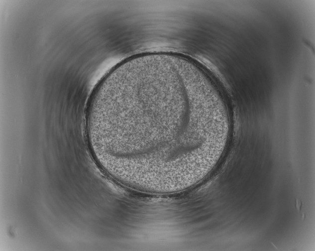 X0000102221277200808221237