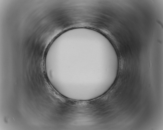 X0000102221278200808221237