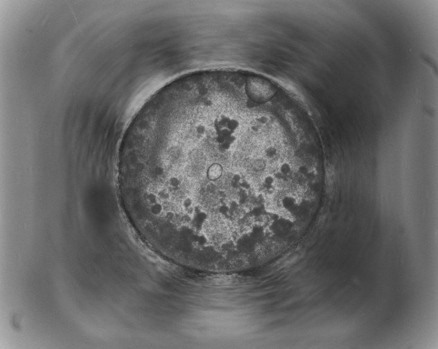 X0000102221279200808221237