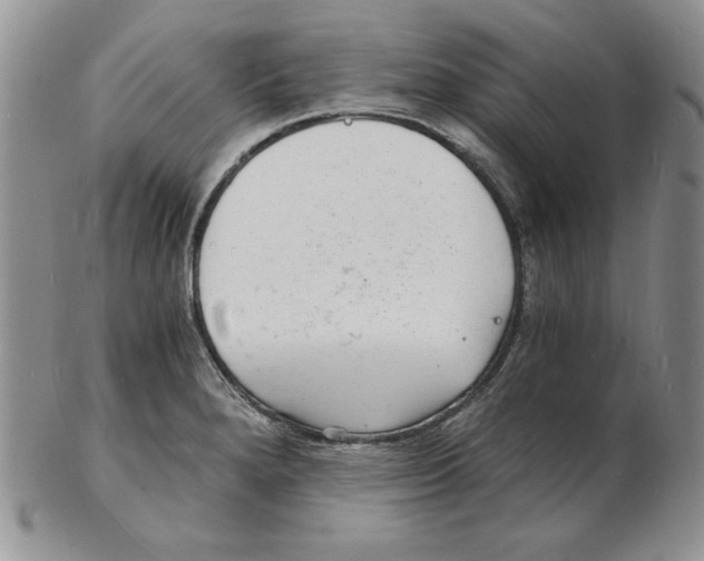 X0000102221280200808221237