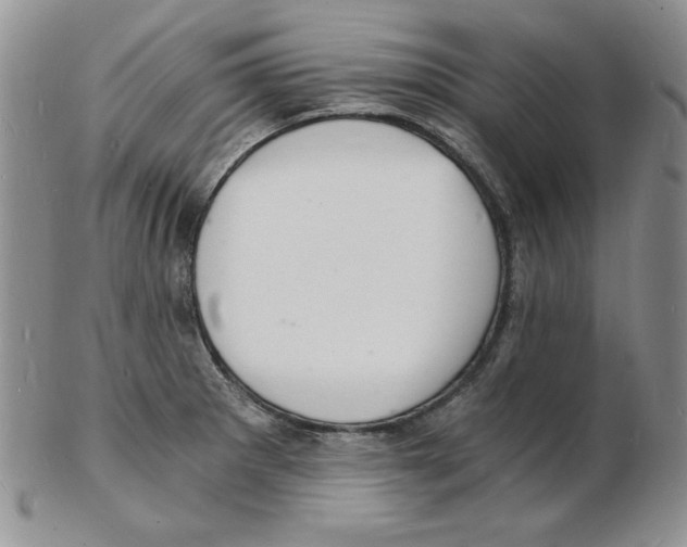 X0000102221281200808221237