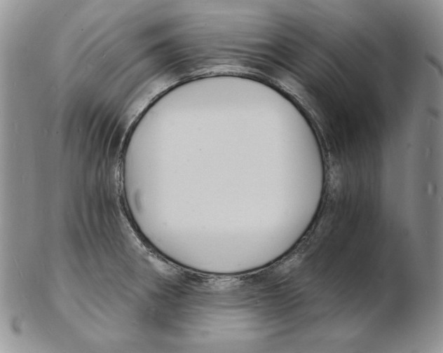 X0000102221282200808221237