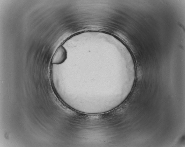 X0000102221283200808221237