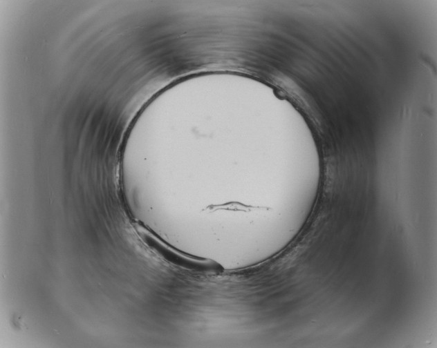 X0000102221284200808221237