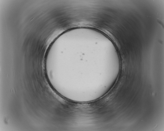 X0000102221285200808221237