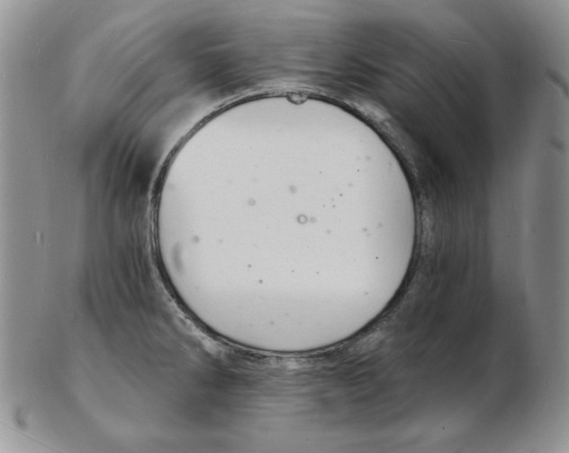 X0000102221286200808221237