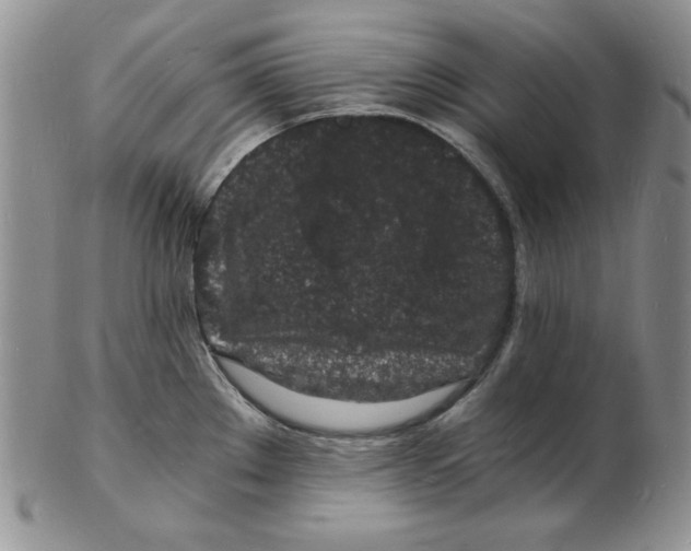 X0000102221289200808221237