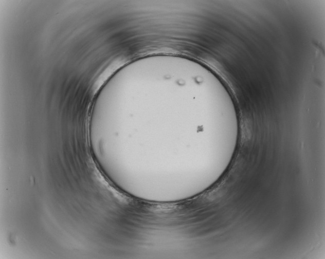 X0000102221290200808221237