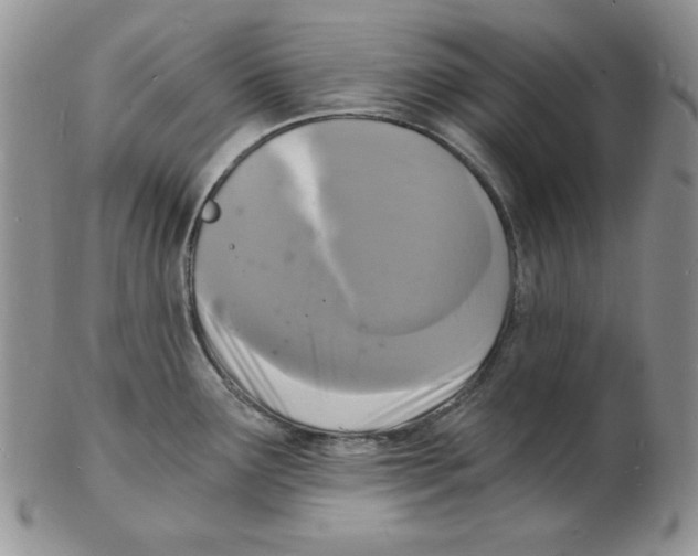 X0000102221291200808221237