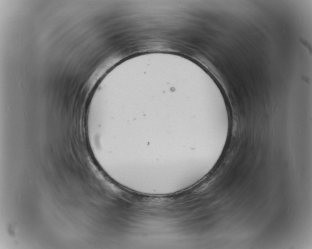 X0000102221293200808221237