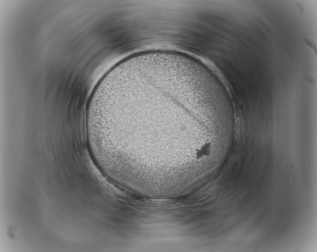 X0000102221295200808221237