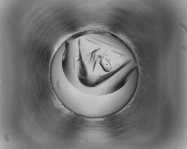 X0000102221296200808221237