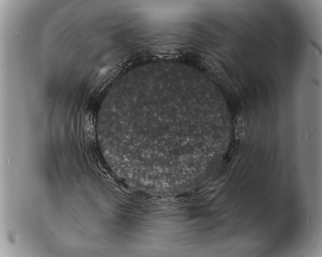 X0000102221298200808221236