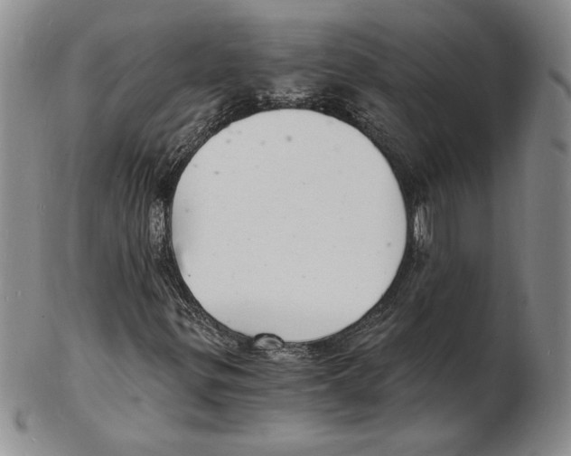 X0000102221299200808221236