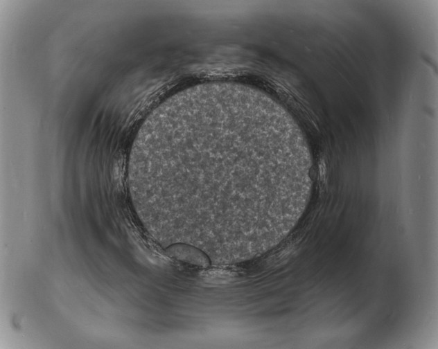 X0000102221300200808221236