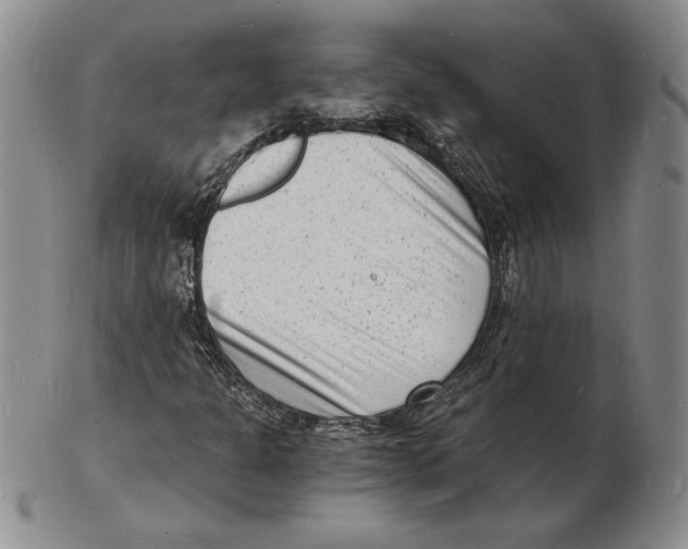 X0000102221301200808221236