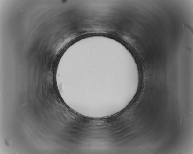 X0000102221307200808221237