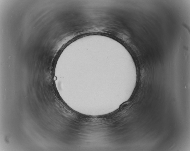 X0000102221308200808221237