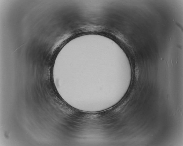 X0000102221309200808221237