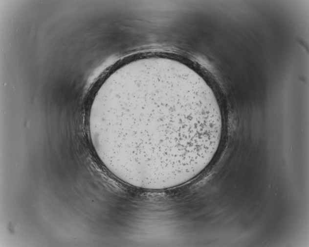 X0000102221310200808221237