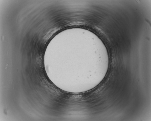 X0000102221313200808221237