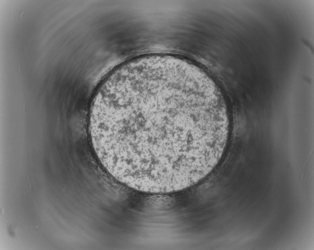 X0000102221314200808221237