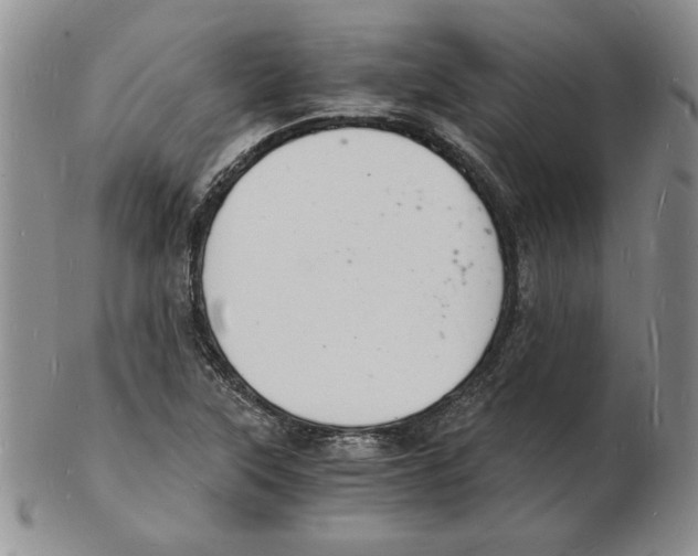 X0000102221315200808221237