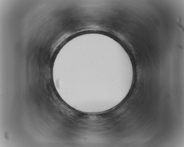 X0000102221318200808221237