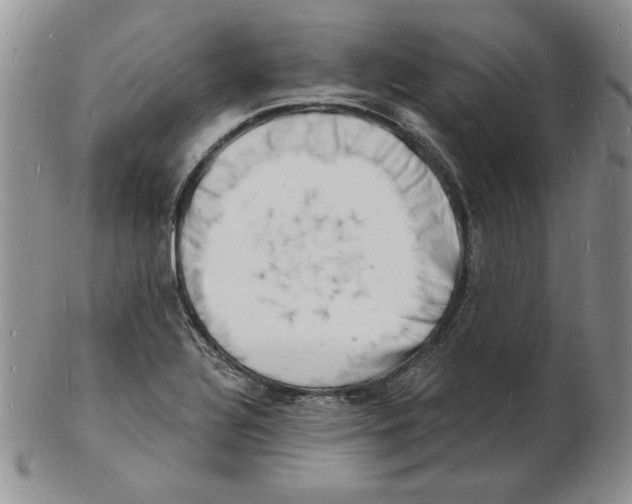 X0000102221320200808221237