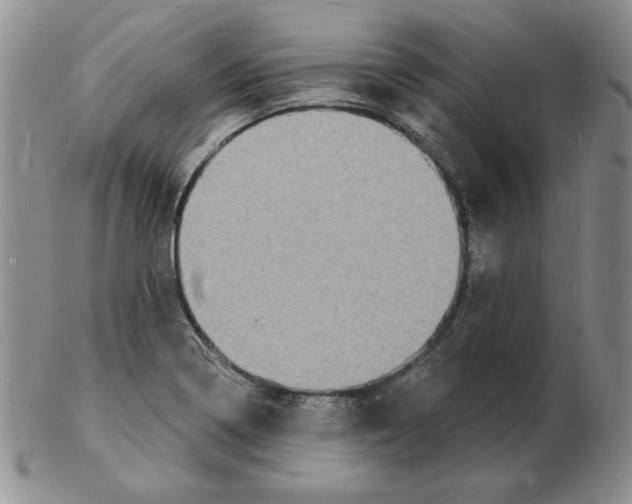 X0000102221322200808221237