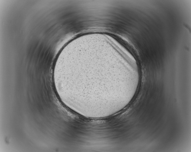 X0000102221325200808221237