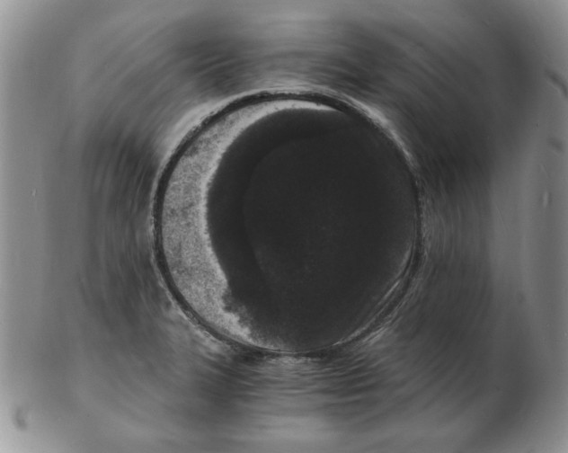 X0000102221327200808221237