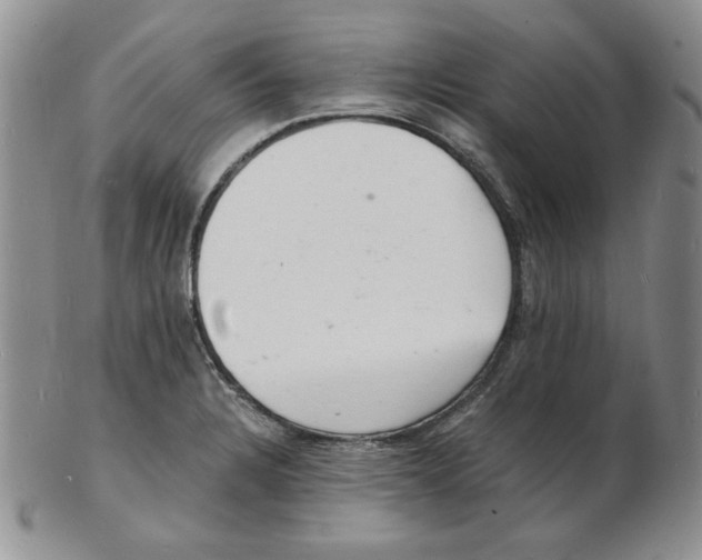 X0000102221328200808221237