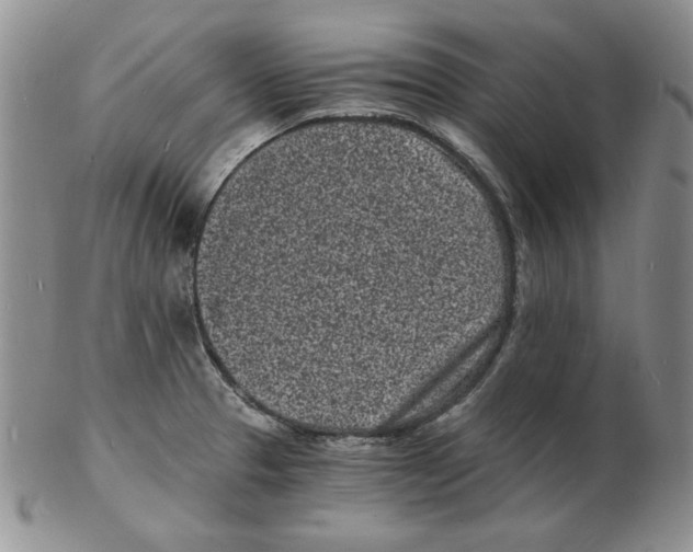 X0000102221329200808221237