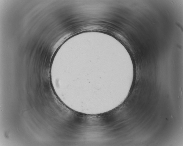 X0000102221330200808221237