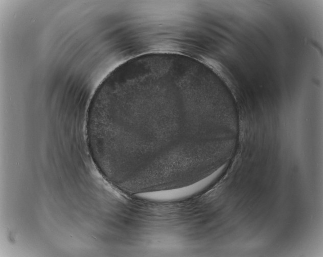 X0000102221331200808221237