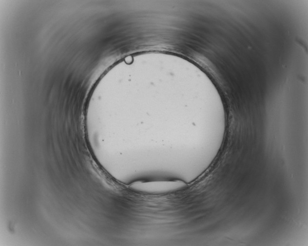 X0000102221332200808221237