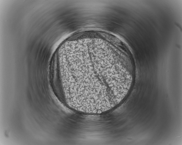 X0000102221333200808221237