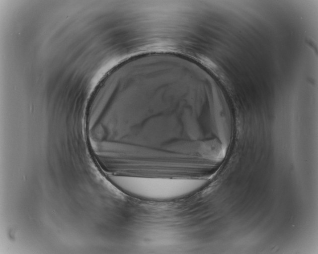 X0000102221334200808221237